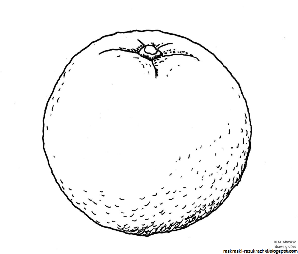 Апельсин раскраска