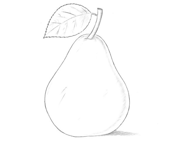 Нарисовать грушу