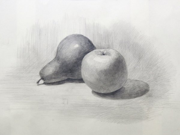 Груша натюрморт карандашом