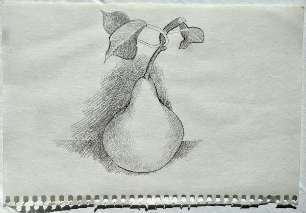 Рисунки для срисовки груша