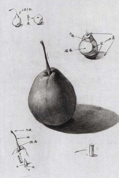 Груша Светотень