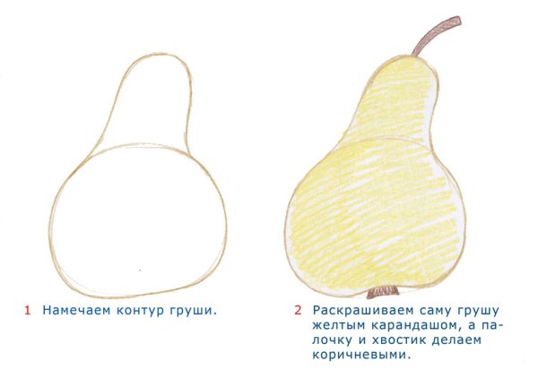 Фрукты карандашом