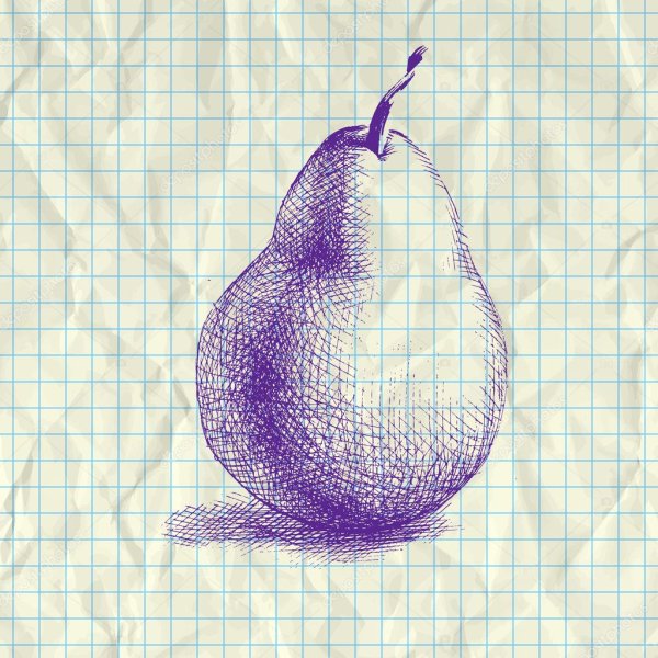 Груша штрих
