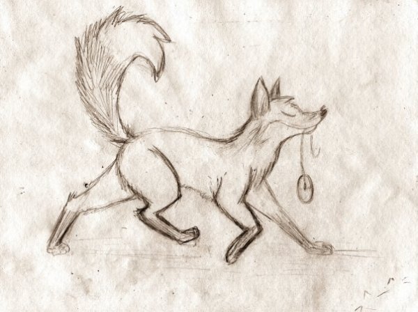 Лиса карандашом для срисовки