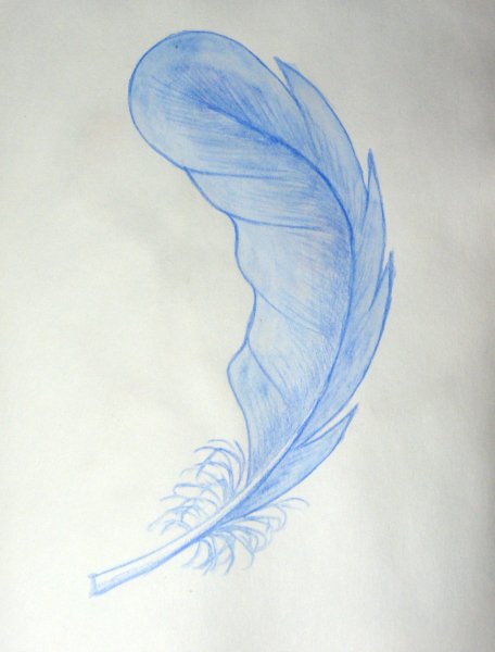 Стилизованные перья
