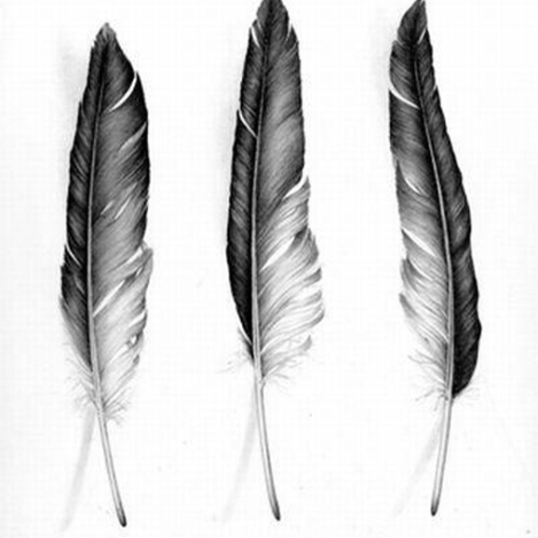 Красивое перо рисунок