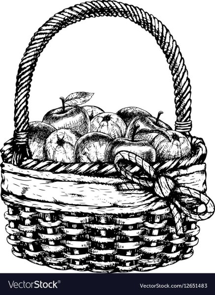 Корзинка рисунок
