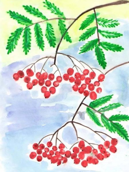 Рябина карандашом дерево