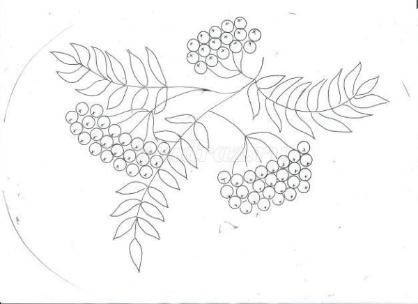 Рисование с натуры ветка рябины подготовительная группа