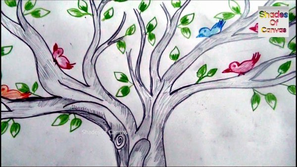 Весна рисунок карандашом