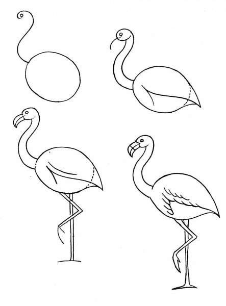 Какинарисовать Фламинго