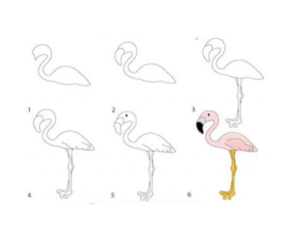 Пошаговое рисование Фламинго