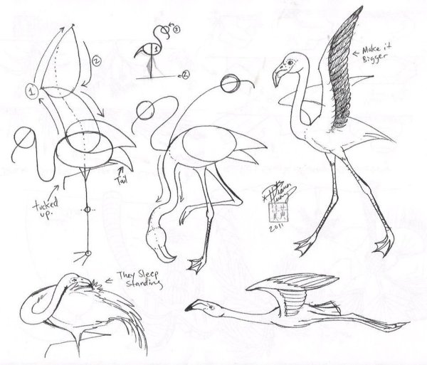 Акварельный Фламинго