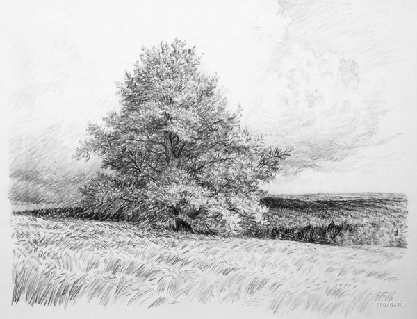Пейзаж карандашом