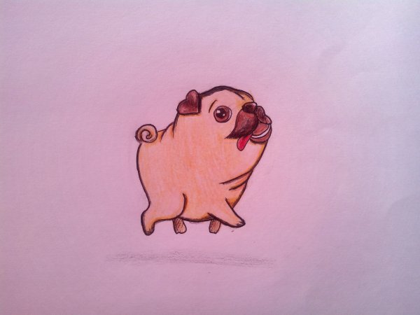 Милые рисунки для срисовки