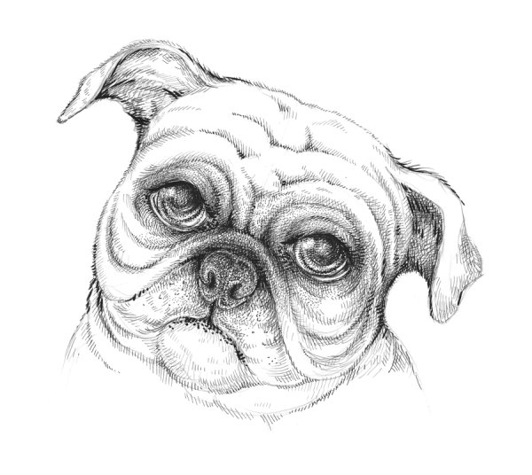 Нарисовать МОПСА