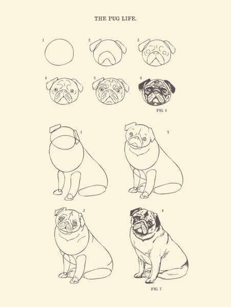 Как нарисовать МОПСА поэтапно