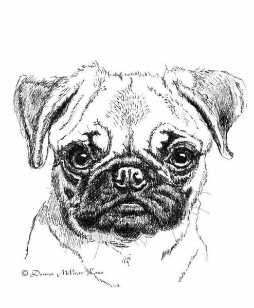 Набросок МОПСА