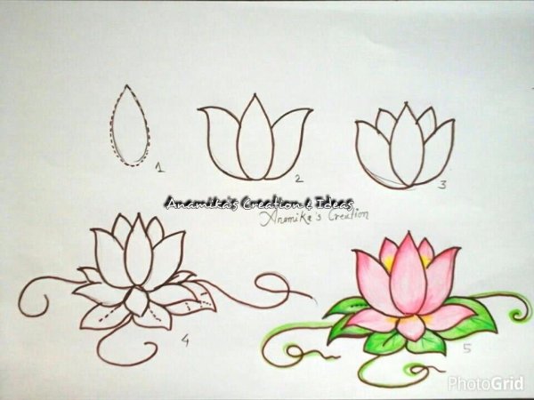 Пошаговый рисунок лотоса