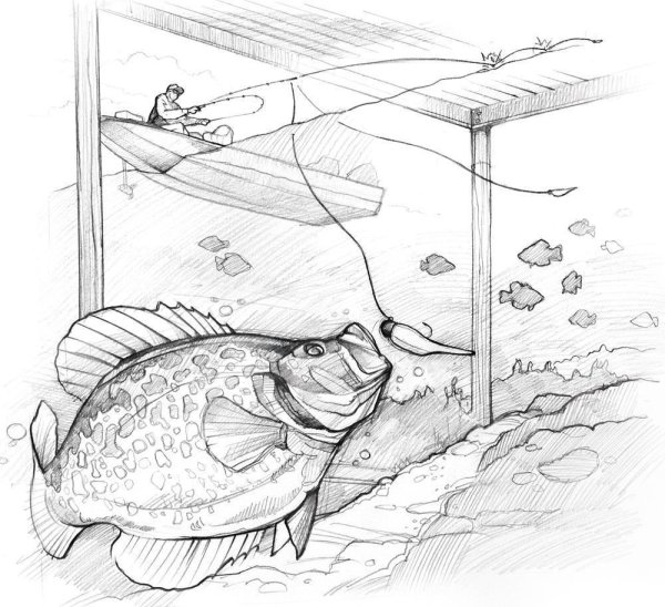 Графический рисунок рыбалки