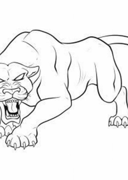 Пантера рисунок карандашом