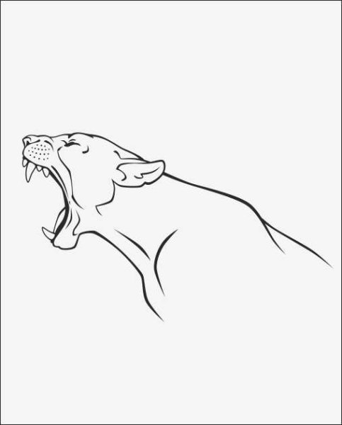 Рисунок пантеры карандашом для срисовки