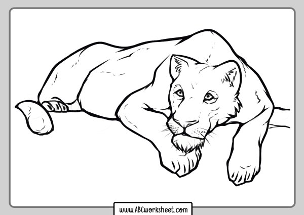 Пантера рисунок карандашом