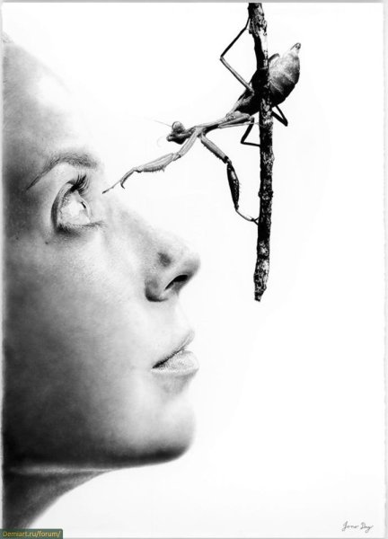 Сюрреализм карандашом