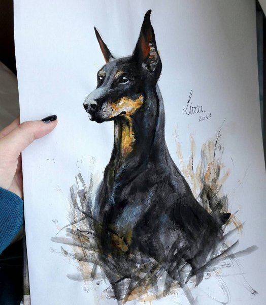 Доберман пинчер тату