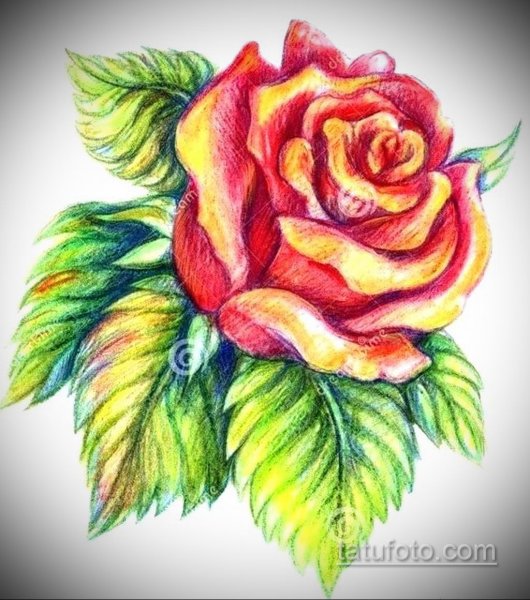 Цветы рисунок