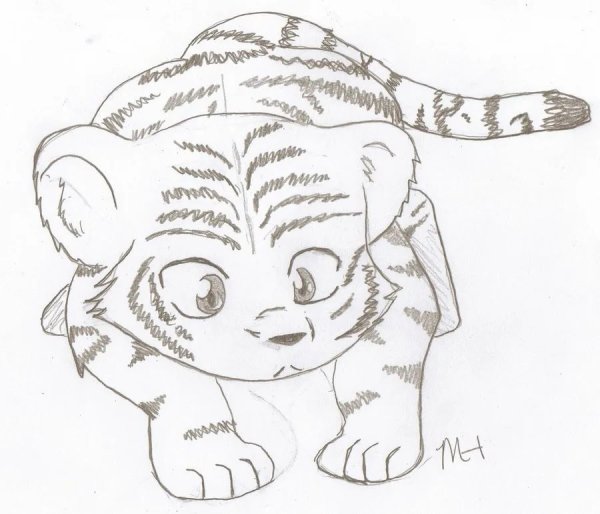 Новогодняя елка рисунок карандашом