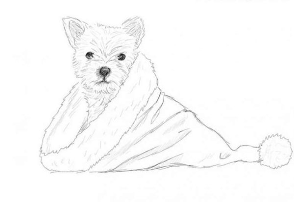 Рисунки на новый год