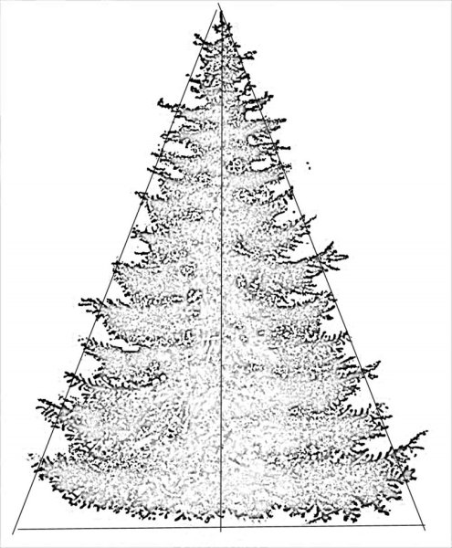 Елка карандашом