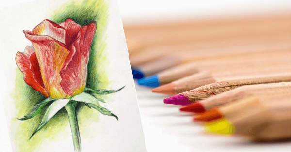 Живопись цветными карандашами
