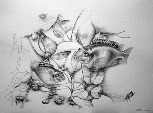 Рыба карандашом