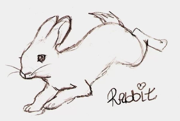 Заяц в движении нарисовать