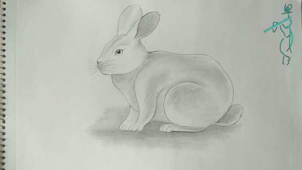Как нарисовать зайца как нарисовать зайца