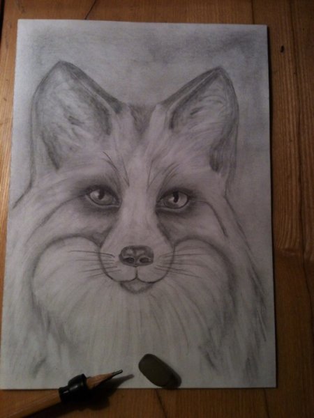 Лисы для срисовки