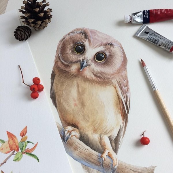 Рисование акварельными карандашами