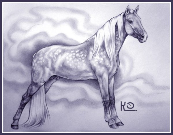 Лошадь рисунок карандашом