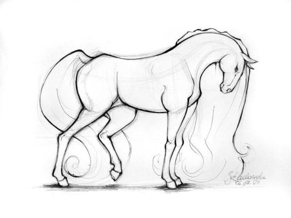 Лошадь простым карандашом