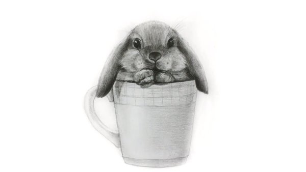 Картинки для срисовки зайчики