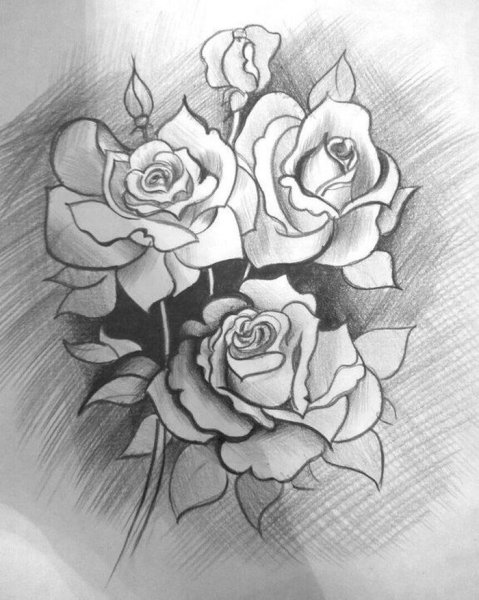 Зарисовки цветов