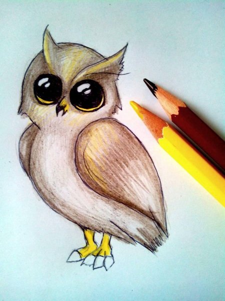 Сова карандашом