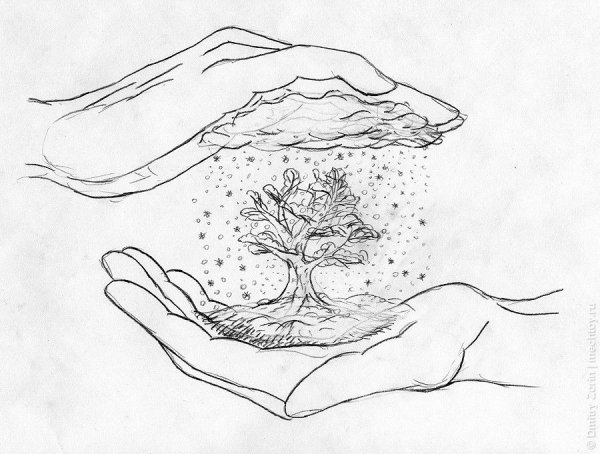 Рисунки карандашом природа