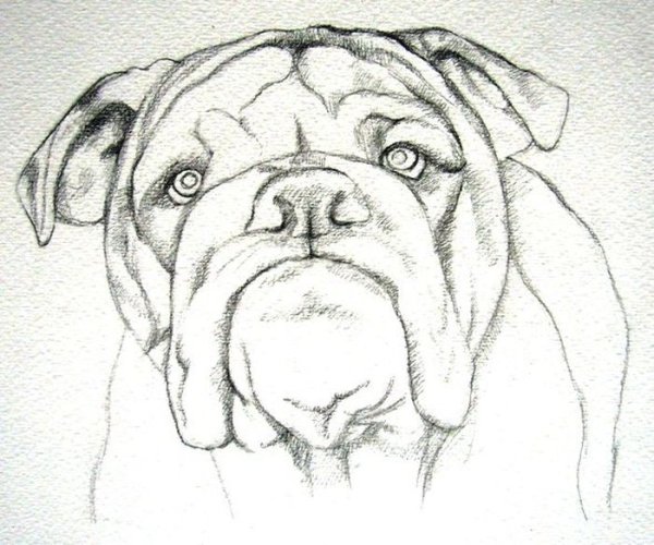 Рисунки карандашом на свободную тему