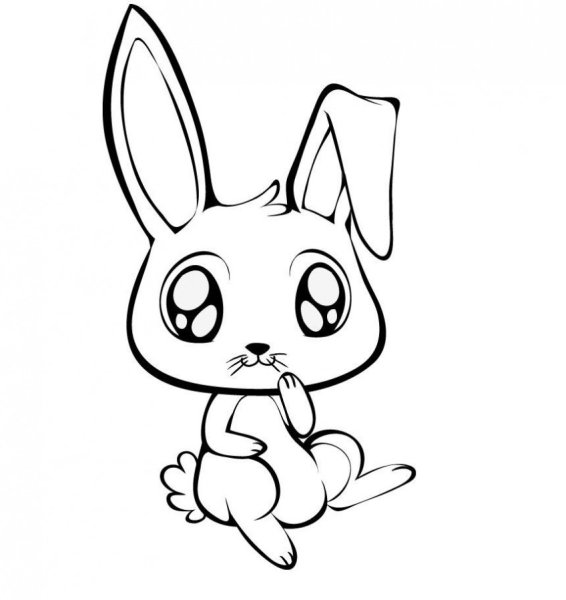 Рисунок кролика для срисовки