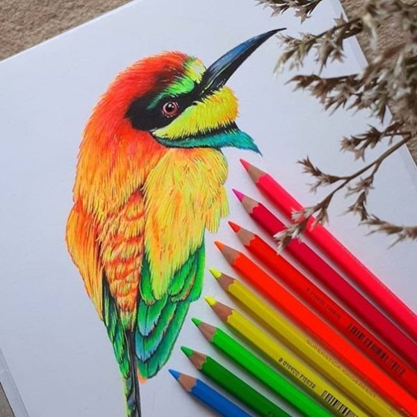 Рисунки разноцветными карандашами