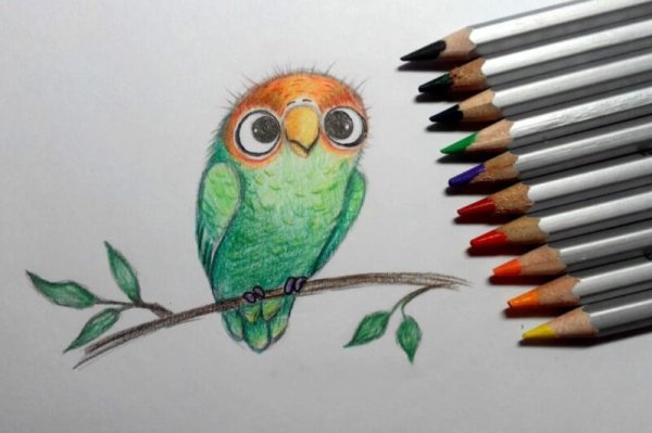 Простые красочные рисунки