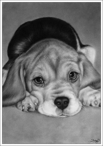 Милые рисунки